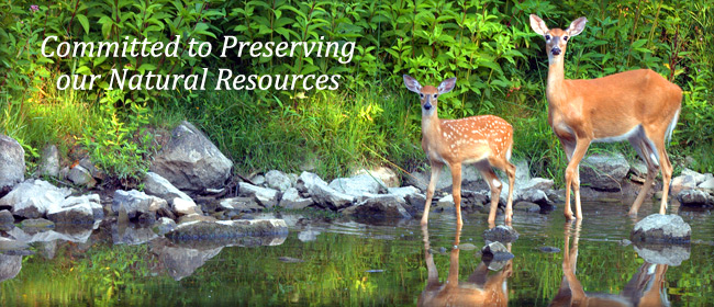 Committed to Preserving our Natural Resources